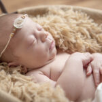newborn photograph 3 family newborn photograph